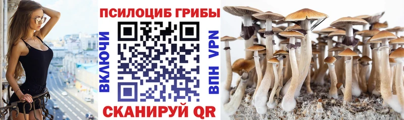 Псилоцибиновые грибы GOLDEN TEACHER  Купить  Ирбит 