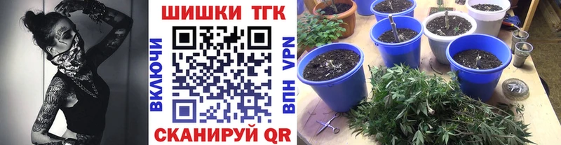 Купить закладки  Ирбит  Каннабис марихуана 